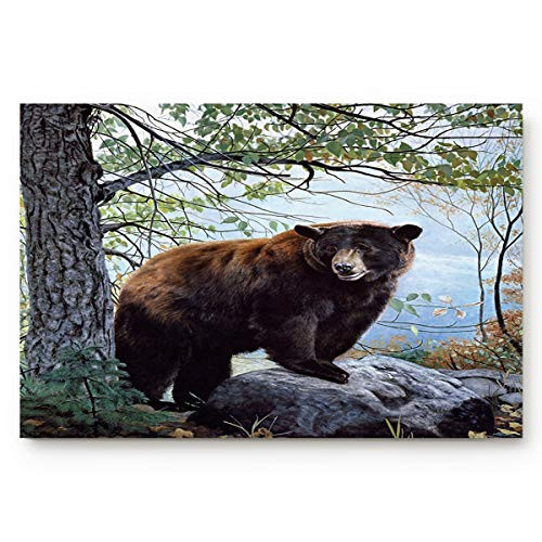 Doormats Entrance Rugs Wild Bear Forest Entryway Door Mats Brown Floor Mats Apartment Office Front Door 18 x 30 inches Doormats Entrance Rugs Wild Bear Forest Entryway Door Mats Brown Floor Mats Apartment Office Front Door 18 x 30 inches