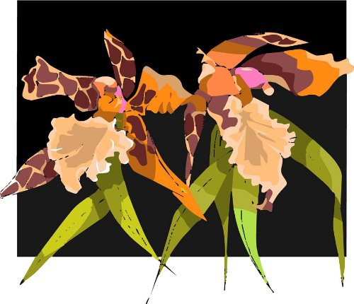 Orchids with Brown Spotted Petals - Etched Vinyl Stained Glass Film Static Cling Window Decal