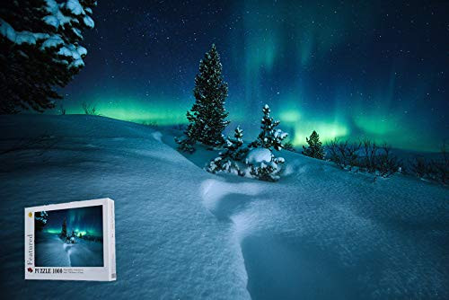 Geekpuz Northern Lights Arctic Circle Norway 1000 Pieces Wooden Challenge Jigsaw Puzzles Difficult Photography Puzzles for Adult Geekpuz Northern Lights Arctic Circle Norway 1000 Pieces Wooden Challenge Jigsaw Puzzles Difficult Photography Puzzles for Adult