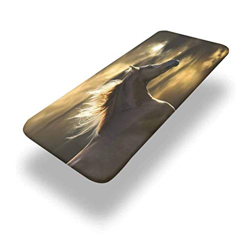 Lyzelre 6ft Horse Decor Elastic Edge Picnic Table CoverChestnut Horse Profile on Dramatic Cloudy Sunset Sky Strong Wild Young Mammal Fitted Rectangular Polyester Table Clothfor Camping Park Patio