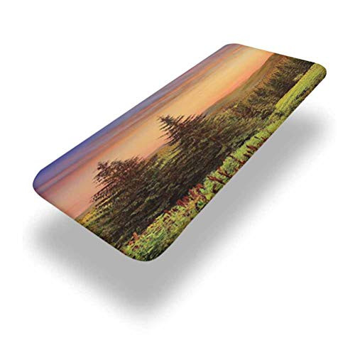 6ft Forest Elastic Edge Picnic Table CoverHeaven Like View with Fir Trees Pines Spruce on Sidehills at Dawn Outdoors Fitted Rectangular Polyester Table Clothfor Outdoor Travel/Holiday/Party