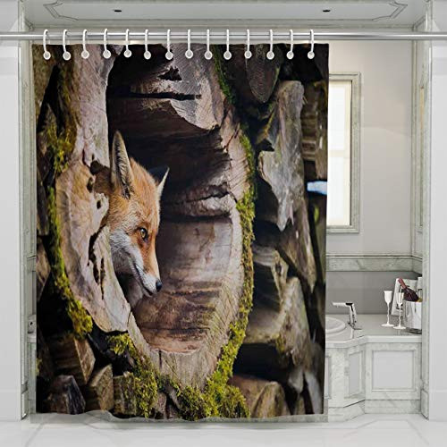 BEISISS Animal Shower CurtainAnimal True Fox Vulpes Inside Wood Log Holes Exotic Furry Creature Wildlife Creature TanMulticolor Water RepellenMachine Washable Art Pattern for Bathroom