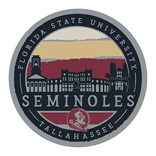 NCAA Florida State Seminoles Unisex 4 inch Vinyl Sticker - Painted Sky Circle Multi One Size