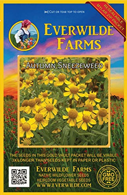 Everwilde Farms - 1000 Autumn Sneezeweed Native Wildflower Seeds - Gold Vault Jumbo Seed Packet Everwilde Farms - 1000 Autumn Sneezeweed Native Wildflower Seeds - Gold Vault Jumbo Seed Packet
