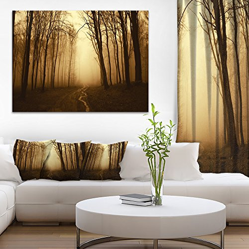 Design Art PT9765-20-12 Road In Forest with Fall Fog Landscape Photo Canvas Art Print,Brown,20x12"