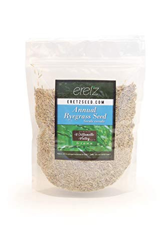 Annual RyeGrass Seed by Eretz - Willamette Valley Oregon Grown. No fillers No Weed or Other Crop Seeds -8oz-