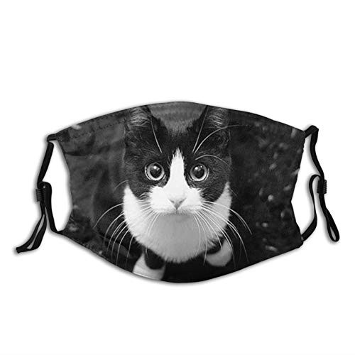 Black White Cat Face Mask With Filter Pocket Washable Reusable Face Bandanas Balaclava With 2 Pcs Filters