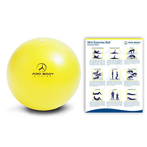 Mini Exercise Ball - 9 Inch Small Bender Ball for Stability Barre Pilates Yoga Core Training and Physical Therapy -Yellow- Mini Exercise Ball - 9 Inch Small Bender Ball for Stability Barre Pilates Yoga Core Training and Physical Therapy -Yellow-