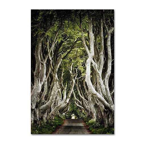 Trademark Fine Art Romantic Avenue by Philippe Sainte-Laudy, 16x24-Inch Canvas Wall Art