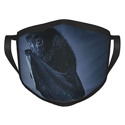 Cloth Face Masks Cool Bat Dust Mouth Cover Reusable Balaclavas Bandanas Breathable Muffle