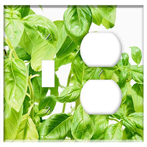 2-Gang Toggle Outlet Combination Wall Plate Cover - Basil Spice Italian Herbs Food Eat Healthy Green