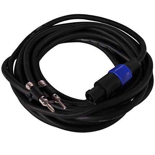 Seismic Audio B12SP25 Pro Audio Banana to Speakon 12-Gauge 2 Conductor 25-Feet Speaker Cable