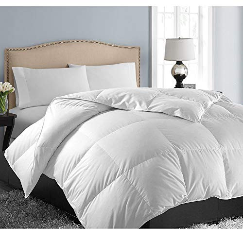 EASELAND Queen/Full Soft Quilted Down Alternative Summer Comforter Hotel Collection Reversible Duvet Insert Fill with Corner Ties,Warm Fluffy Hypoallergenic for All Season White,88 by 88 Inches EASELAND Queen/Full Soft Quilted Down Alternative Summer Comforter Hotel Collection Reversible Duvet Insert Fill with Corner Ties,Warm Fluffy Hypoallergenic for All Season White,88 by 88 Inches