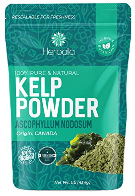 Kelp Powder 1 Lb Natural Iodine Supplement -High Fiber- Raw Kelp Seaweed Extract from Canada 100 percent Pure non-GMO Gluten-free  and  Kosher