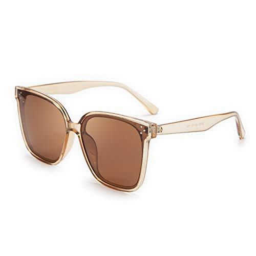 FEISEDY Retro Oversized Cateye Polarized Sunglasses Women Men Minimalist Style B2600