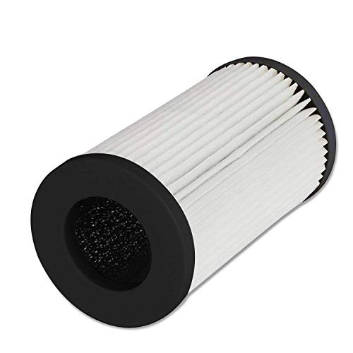 QUEENTY True HEPA Filter - Replacement Air Purifier Filter Odor Allergies Eliminator for Smoke Dust Home Office and Pets -for FC01 Only-