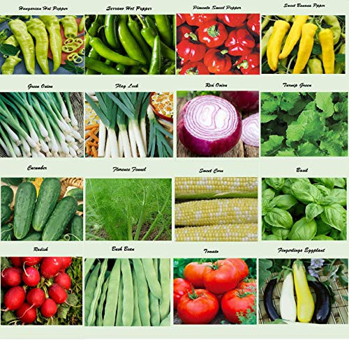 Set of 16 Assorted Organic Vegetable  and  Herb Seeds 16 Varieties Create a Deluxe Garden All Seeds are Heirloom 100 percent Non-GMO Sweet Pepper Seeds Hot Pepper Seeds-Red Onion Seeds- Green Onion Seeds