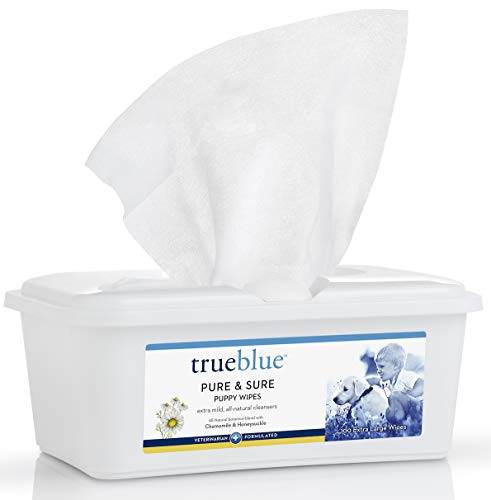 TrueBlue Chamomile  and  Honeysuckle Pure  and  Sure Puppy Wipes  Pre-Moistened Puppy Pads for Cleaning Dirty Paws Coats Dog Hair  Extra Large  8x7  100 Count