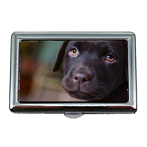 Hard Box Cigarette CaseYoung Labrador Puppy Brown Dog Pet AnimalBusiness Card Holder Business Card Case Stainless Hard Box Cigarette CaseYoung Labrador Puppy Brown Dog Pet AnimalBusiness Card Holder Business Card Case Stainless
