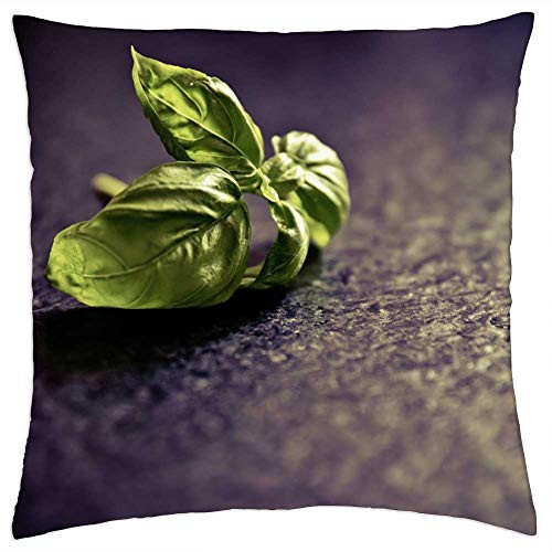 LESGAULEST Throw Pillow Cover -24x24 inch- - Basil Spice Plant Food Green Herbs Kitchen Spice