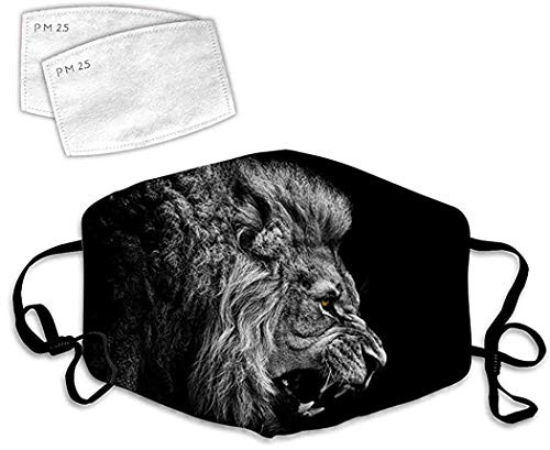 Slily Marries Shadow The He-dgehog Cloth Face Mask Washable Anti Filter Dust Fabric Mouth Mask Reusable Printed for Women Men