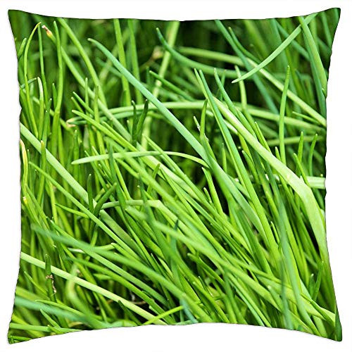 LESGAULEST Throw Pillow Cover -24x24 inch- - Chives Plant Spice Herbs Vegetarian Green Healthy