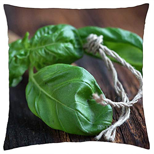 LESGAULEST Throw Pillow Cover -24x24 inch- - Basil Leaves Plant Spice Green Herbs Leaf Aroma 1