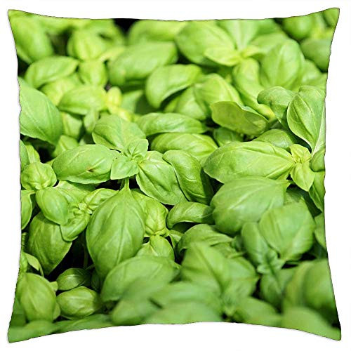 LESGAULEST Throw Pillow Cover -24x24 inch- - Basil Plant Spice Herbs Vegetarian Green
