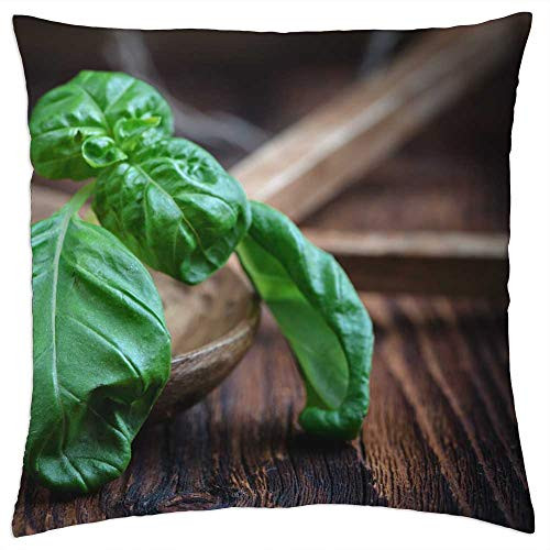 LESGAULEST Throw Pillow Cover -24x24 inch- - Basil Leaves Plant Spice Green Herbs Leaf Aroma