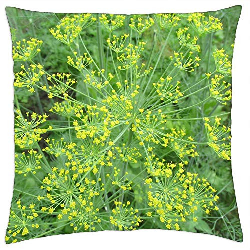 LESGAULEST Throw Pillow Cover -24x24 inch- - Dill Green Garden Herbs Nature Kitchen Herb Herb