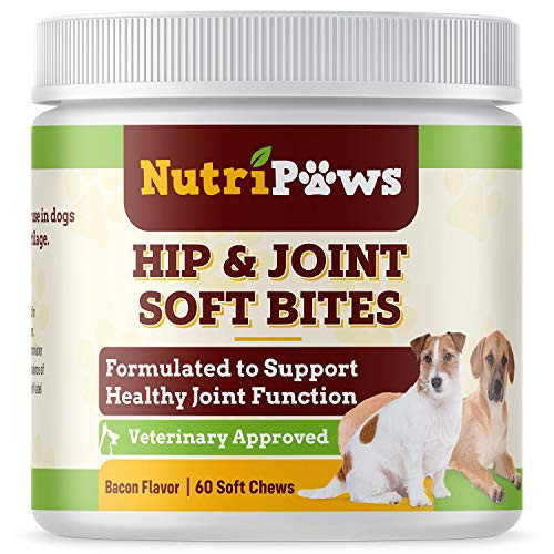 NutriPaws Hip and Joint Soft Bites Bacon Flavor - Glucosamine for Dogs - Hip and Joint Supplement for Dog - Arthritis Pain Reliever Made in USA Dog Arthritis Supplement - 60 Chews NutriPaws Hip and Joint Soft Bites Bacon Flavor - Glucosamine for Dogs - Hip and Joint Supplement for Dog - Arthritis Pain Reliever Made in USA Dog Arthritis Supplement - 60 Chews