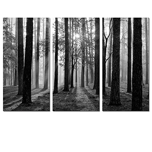 Black and White Landscape Canvas Wall Art,Modern Wall Art,Nature Picture Art,Canvas Prints,Oil Painting,Autumn Forest Wall Decor,Wall Decoration (Foggy Forest)