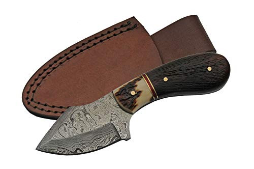 SZCO Supplies Damascus Steel Stag Skinning Knife Brown 6 inches