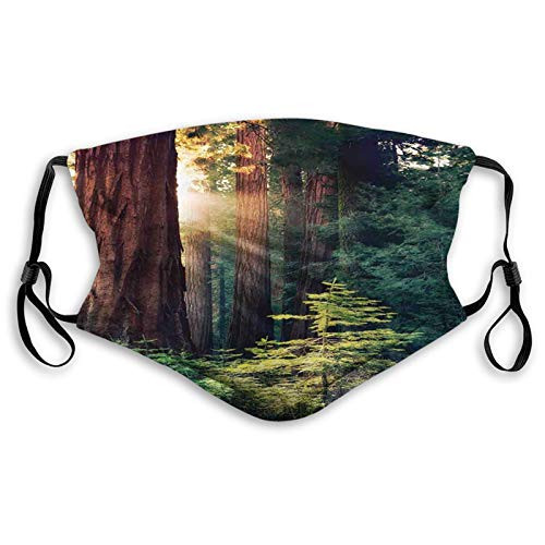 National Parks Morning Sunlight in Wilderness Yosemite Sierra Nevada United States Nature Green Brown Proof Windproof Face MaskReusableWashable ClothFace CoverCover for Men Women SizeAdult