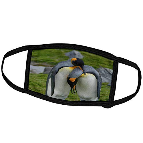 3dRose Danita Delimont - Penguins - South Georgia. Saint Andrews. King Penguin. Courtship Display. - Face Masks -fm_225291_1- 3dRose Danita Delimont - Penguins - South Georgia. Saint Andrews. King Penguin. Courtship Display. - Face Masks -fm_225291_1-
