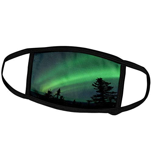 3dRose Danita Delimont - Northern Lights - US AK Fairbanks. Dramatic Curtain Display of Aurora Borealis. - Face Masks -fm_278431_3-