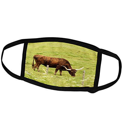 3dRose Longhorn Cow grazing in Green Pasture - US44 PWO0005 - PiperAnne. - Face Covers -fc_147147_2-