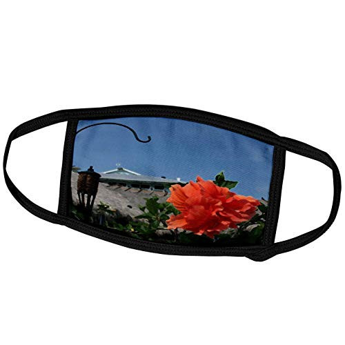 3dRose Susans Zoo Crew Flowers - Hook and Hibiscus Painting - Face Masks -fm_186606_3-