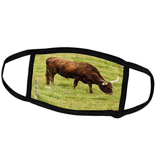 3dRose Longhorn Cow grazing in Green Pasture - US44 PWO0004 - PiperAnne. - Face Covers -fc_147146_3-