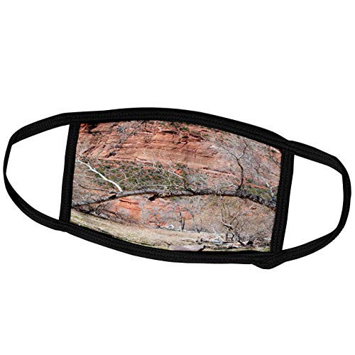 3dRose Jos Fauxtographee- Zion Park - A Large Branch Bent to The Side in Zion National Park of Utah - Face Masks -fm_318879_3-