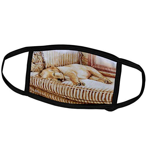 3dRose Little Yellow Lab Puppy Sleeping in The Sun On A Golden Striped. - Face Masks -fm_44570_2-