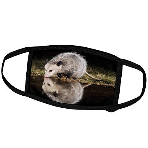 3dRose Danita Delimont - Wildlife - Virginia Opossum Wildlife Hill Country Texas - NA02 RNU0298 - Rolf Nussbaumer - Face Masks -fm_84369_1-