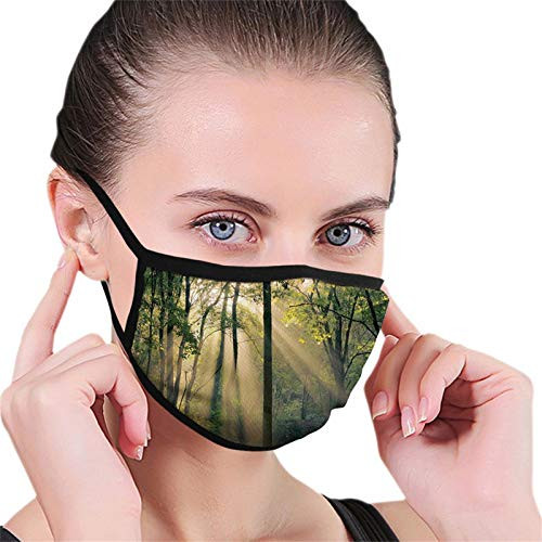 Forest Morning Sunrays Through Trees Summertime Countryside Scenic ViewGreen Beige Black Reusable Face Mask Balaclava Washable Outdoor Nose Mouth for Men and Women