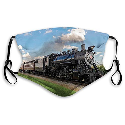 Vintage Locomotive in Countryside Scenery Green Grass Mouth Face Mask Anti Breathable Absorb Sweat Washable Reusable Masks for Adult
