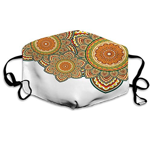 Ethnic Paisley Eastern Oriental Design with Floral Swirls and Circles Work of Art Image Multicolor Face Mask Reusable Washable Masks Cloth for Men and Women