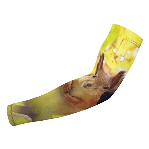 Hahal Arm Sleeves Squirrel Cooling UV Sun Protection Fast Dry Elastic Material to Cover Elbow Unisex