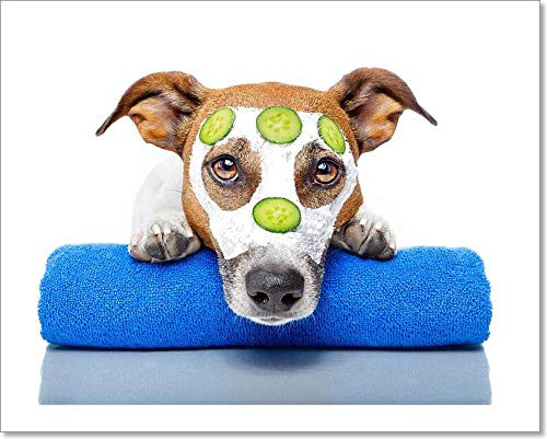 Barewalls Dog with A Beauty Mask Paper Print Wall Art -8in. x 10in.-