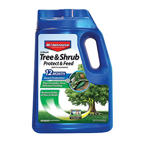 Bayer Advanced 701910 12 Months Tree and Shrub Protect and Feed Granules, 10-Pound