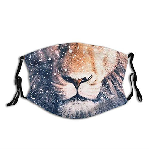 Cool Lion King Face Snow Art Cloth Face Mask With Filter Pocket Washable Reusable Face Bandanas Balaclava With 2 Pcs Filters
