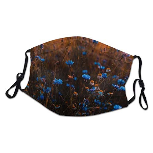 Kids Face Mask Washable Reusable Countryside Blue Flower Floral Adjustable Dust Masks Bandanas